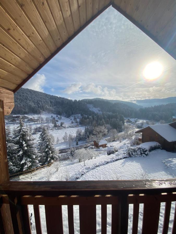 Chalet De La Grimpette Au Coeur De Gérardmer Екстериор снимка