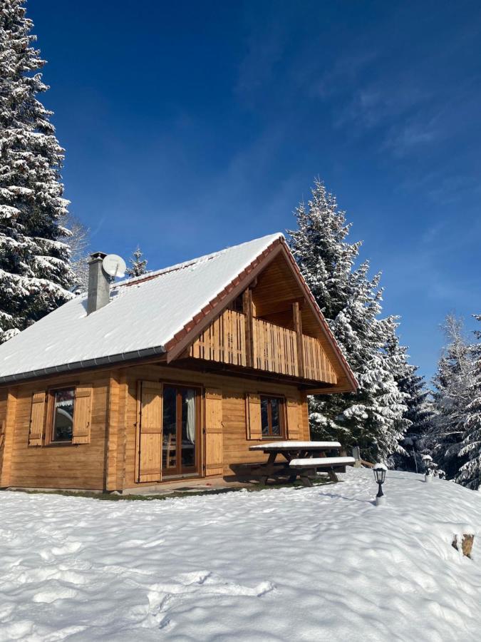 Chalet De La Grimpette Au Coeur De Gérardmer Екстериор снимка