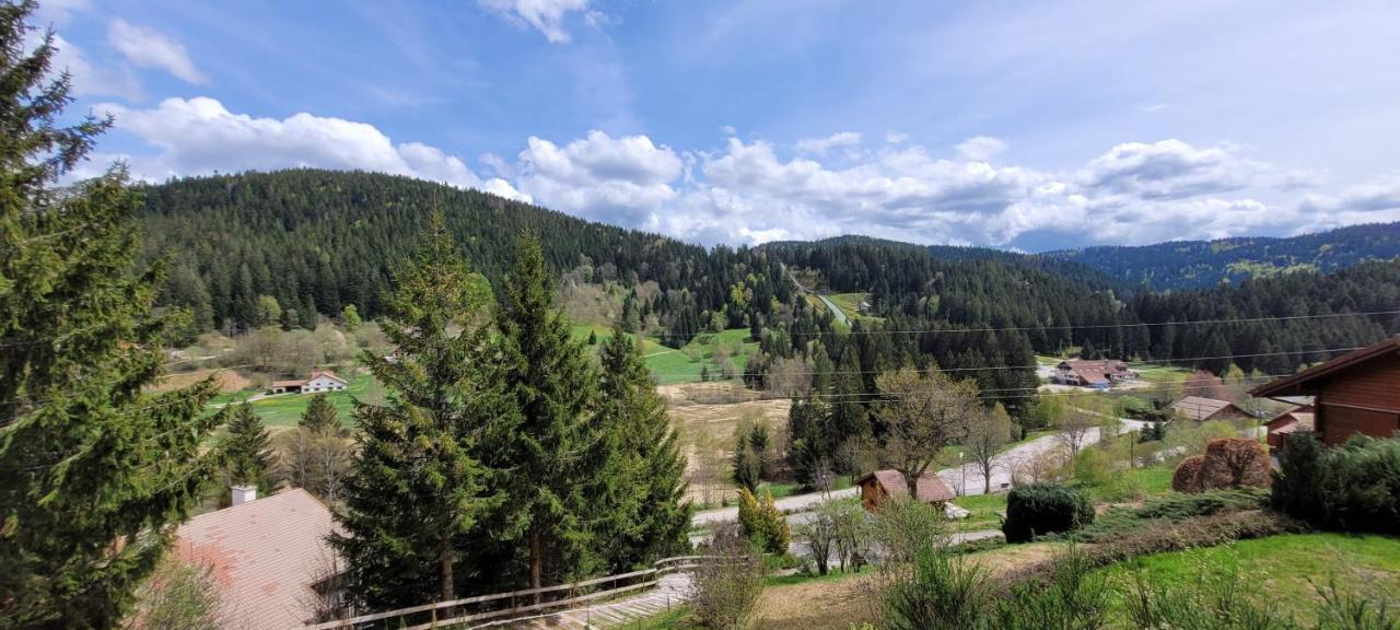 Chalet De La Grimpette Au Coeur De Gérardmer Екстериор снимка