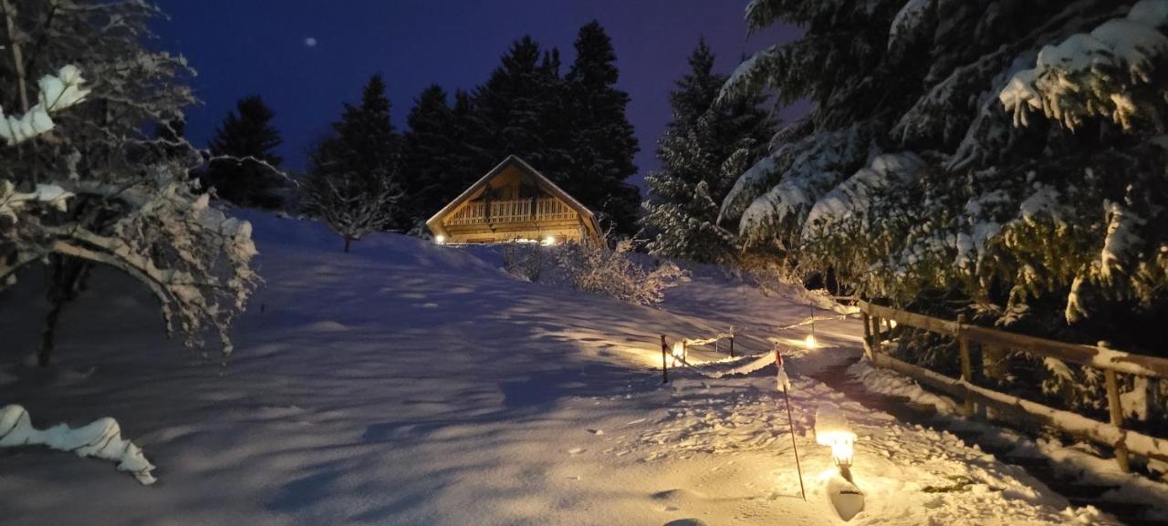 Chalet De La Grimpette Au Coeur De Gérardmer Екстериор снимка