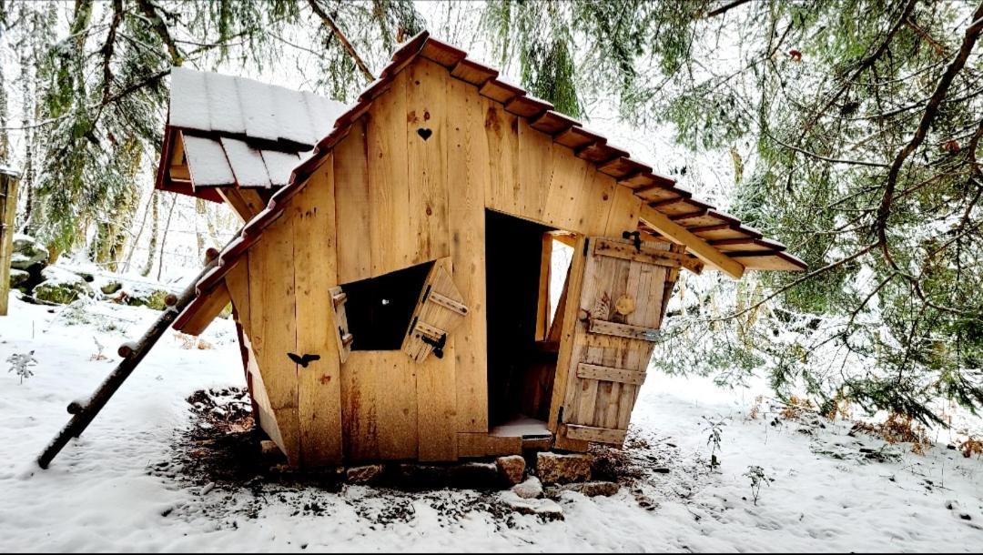 Chalet De La Grimpette Au Coeur De Gérardmer Екстериор снимка